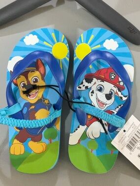 Blue Paw Patrol